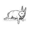 Osterstempel Rennender Hase / Unmontiertes Stempelgummi (130712)