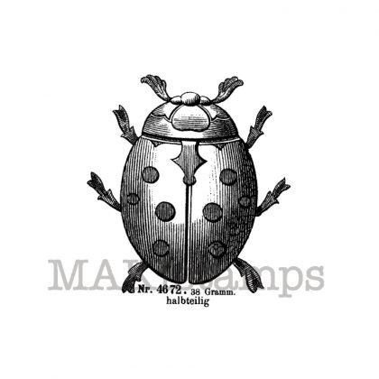 Beetle rubber stamp makistamps