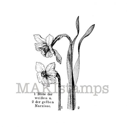 Jonquil stamp makistamps