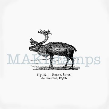 Reindeer rubber stamp MAKIstamps