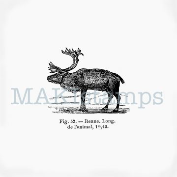 rubber stamp reindeer