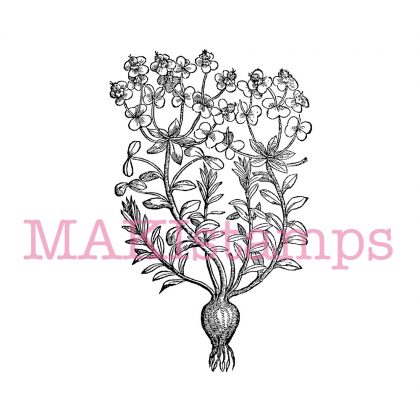 garden plant rubber stamp MAKIstamps