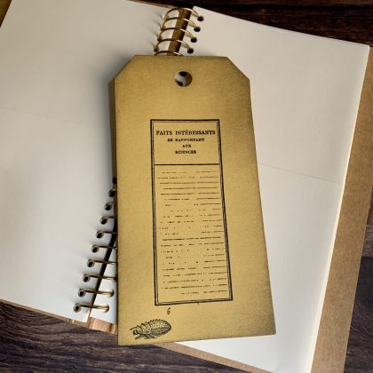 Scrapbooking Stempel Beobachtungstabelle Hintergrundstempel - unmontiert oder auf Haftschaum (200004) – Bild 3