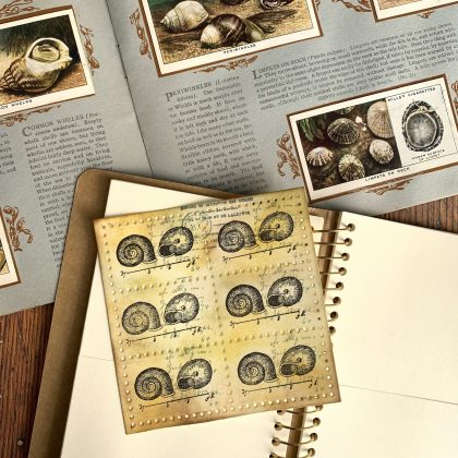 Rubber stamp little snail shells from 1784 french encyclopedia - unmounted rubber stamp or cling stamp option (220111) - Image 3