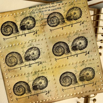 Rubber stamp little snail shells from 1784 french encyclopedia - unmounted rubber stamp or cling stamp option (220111) - Image 4