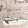Hai Stempel Fuchshai aus altem Lexikon von 1784 - unmontiert oder auf Haftschaum (220201) – Bild 3