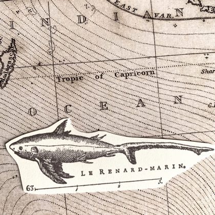 Elegant shark rubber stamp thresher shark from 1784 french encyclopedia - unmounted rubber stamp or cling stamp option (220201) - Image 3