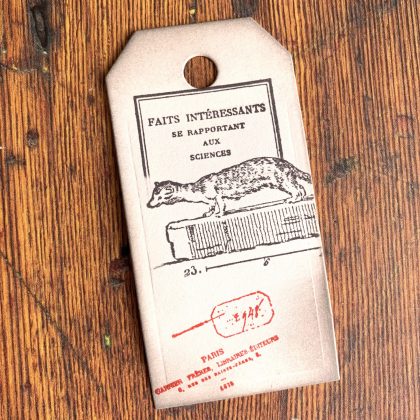 Scrapbooking Stempel Beobachtungstabelle Hintergrundstempel - unmontiert oder auf Haftschaum (200004) – Bild 4