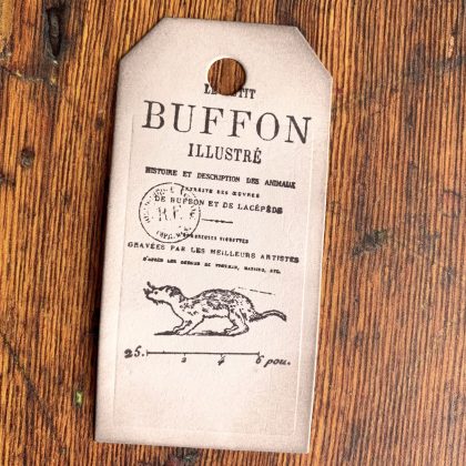 Stamp set polecat and ferret from 1784 french encyclopedia - unmounted rubber stamp or cling stamp option (220110) - Image 3