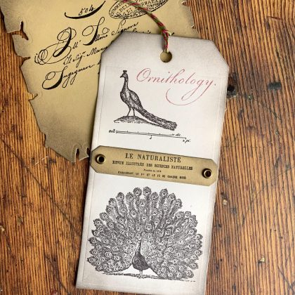 Stempel 2er Set Pfau aus Lexikon von 1784 - unmontiert oder auf Haftschaum (220101) – Bild 3