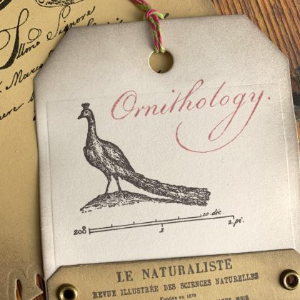 Stempel 2er Set Pfau aus Lexikon von 1784 - unmontiert oder auf Haftschaum (220101) – Bild 4