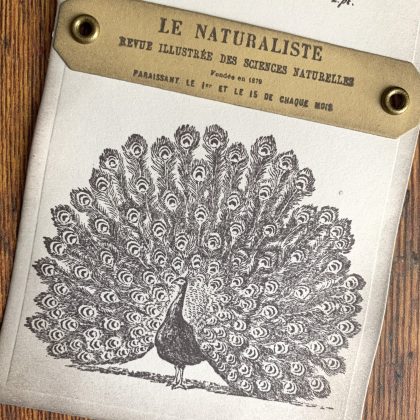 Stempel 2er Set Pfau aus Lexikon von 1784 - unmontiert oder auf Haftschaum (220101) – Bild 5
