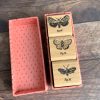 Gift set 3 little butterfly stamps in box - wood mounted (300101-9) - Image 2