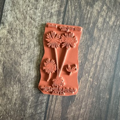 Medieval style rubber stamp medicinal plant - unmounted rubber stamp or cling stamp option (230613) - Image 2