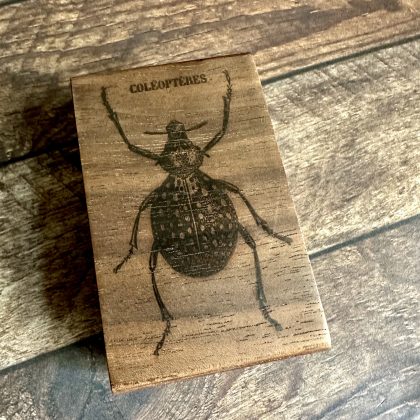 *Einzelstück* großer Käferstempel Stempel holzmontiert auf Walnussholz (300000-36)