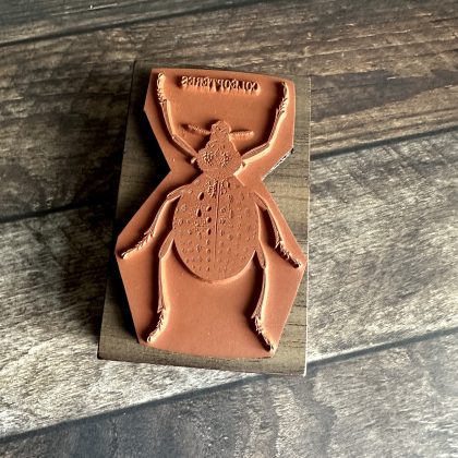 *Einzelstück* großer Käferstempel Stempel holzmontiert auf Walnussholz (300000-36) – Bild 2