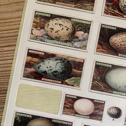 sticker vintage birds eggs MAKIstamps
