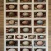 Sticker Vintage Eier MAKIstamps