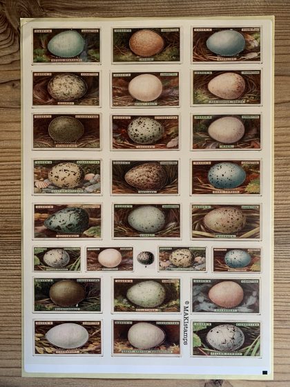 sticker vintage birds eggs MAKIstamps