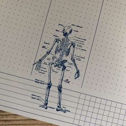 Stempel Anatomie MAKIstamps