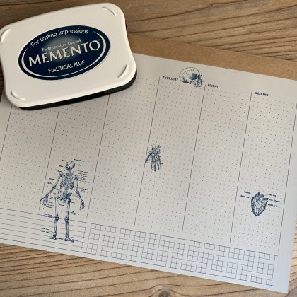 Stempel Anatomie MAKIstamps