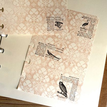 Planer Stempel Set Lexikon Vögel - unmontiert oder EZ-montiert (200006) – Bild 3