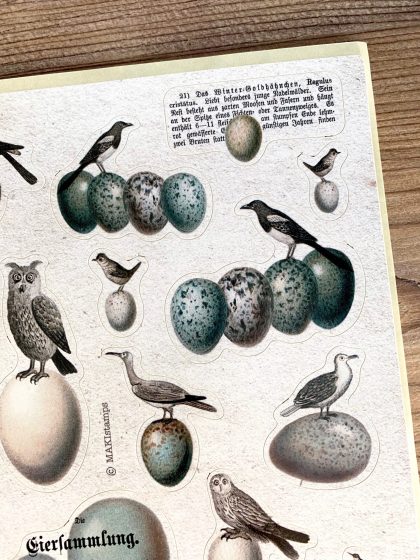 DIN A 4 Sticker Bogen Vintage Vögel und Eier Collage (000005) – Bild 3