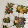 Glanzbilder Oblaten Beeren und Früchte (170047) – Bild 2