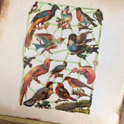 paper scraps vintage style exotic birds