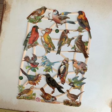 vintage style german paper scraps birds