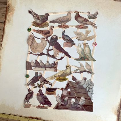 vintage style paper scraps pigeons