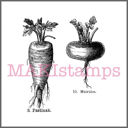 cooking rubber stamp set vegetables