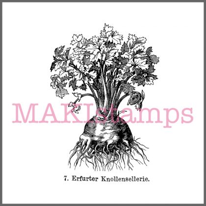 german rubber stamp garden vegetables