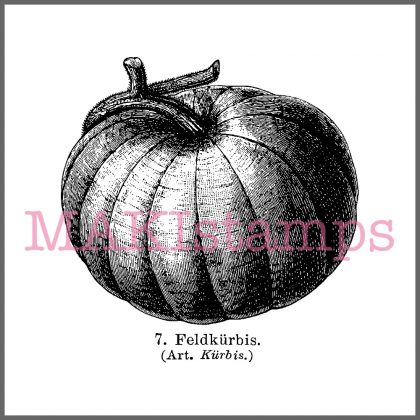 pumpkin rubber stamp halloween