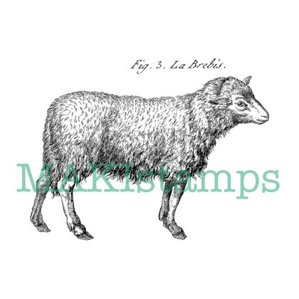 sheep rubber stamp animal