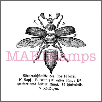 Käfer Stempel