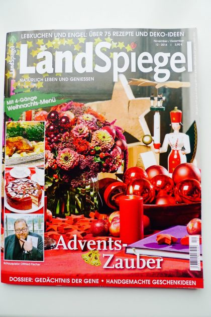 Stempel Weihnachtsmann mit Schaukelpferd / Landspiegel / Stempelgummi (130505) – Bild 6