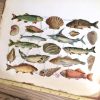 Paper scraps german vintage style / Fish 2 (170003)