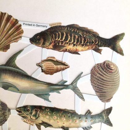 Oblaten / Glanzbilder Fische 2 (170003) – Bild 2