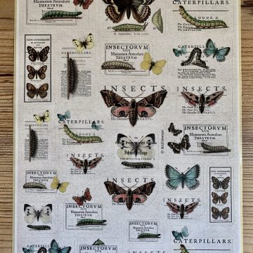 butterfly sticker MAKIstamps