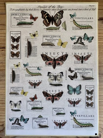 butterfly sticker MAKIstamps