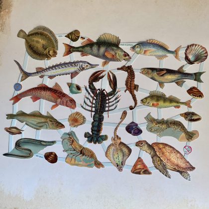 Oblaten / Glanzbilder Fische und Krustentiere (170037)
