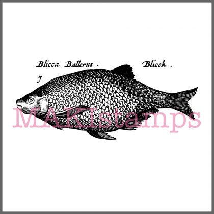fish rubber stamp MAKIstamps