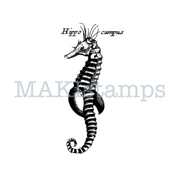 rubber stamp sea horse medieval woodcut MAKIstamps