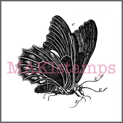 rubber stamp butterfly