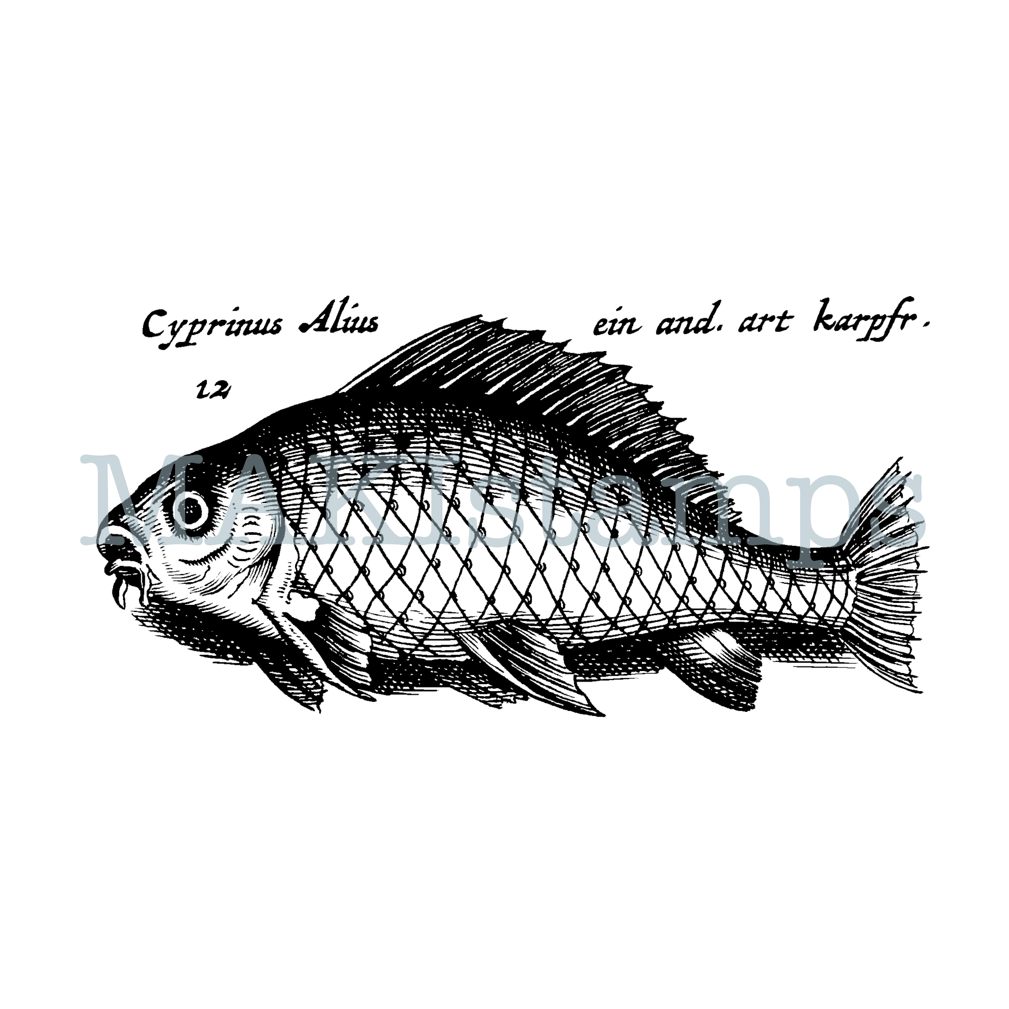 rubber stamp carp MAKIstamps