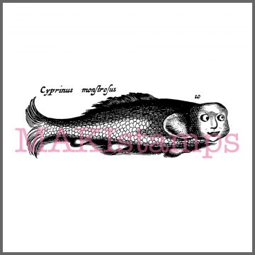 vintage fish rubber art stamp fishes