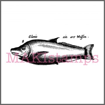 vintage style fish rubber stamp MAKIstamps