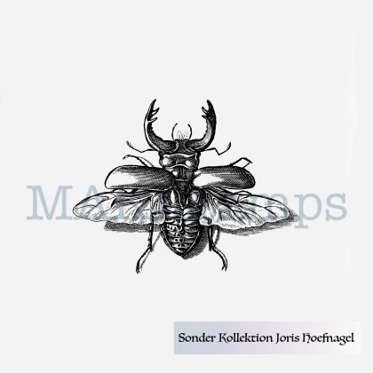 rubber stamp little stag beetle Hoefnagel MAKIstamps special collection