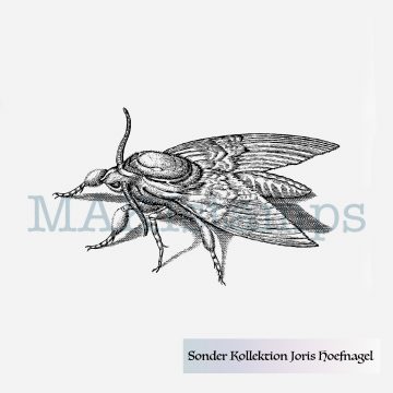 MAKIstamps rubber stamp moth Hoefnagel special collection